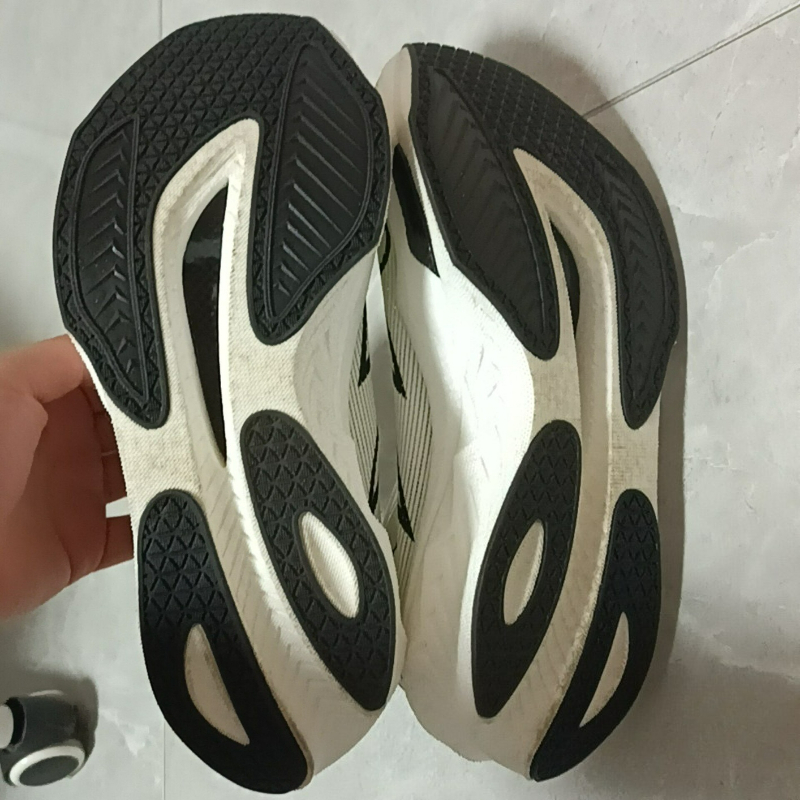 Professional Carbon Plate Runn - Luxury Lifestyle Training 评论和价格